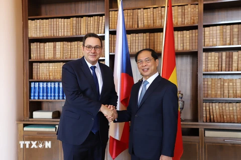 Đẩy mạnh hợp tác trên tất cả các lĩnh vực giữa Việt Nam và Séc