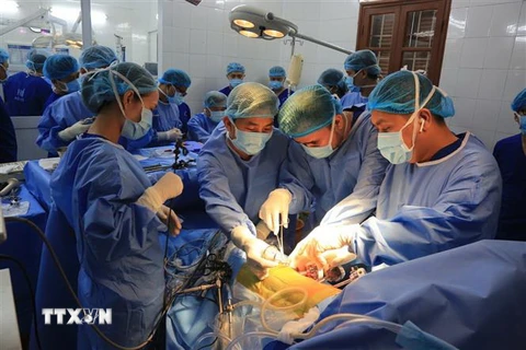 Ca phẫu thuật ghép thận đầu tiên thành công tại Bệnh viện Hữu nghị Việt Tiệp. (Ảnh: TTXVN phát)