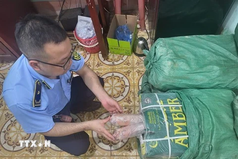 Lực lượng Quản lý thị trường Lạng Sơn kiểm tra số đuôi bò nhập lậu. (Ảnh: Văn Đạt/TTXVN)