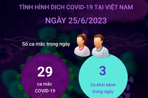 Cập nhật tình hình dịch COVID-19 tại Việt Nam ngày 25/6.