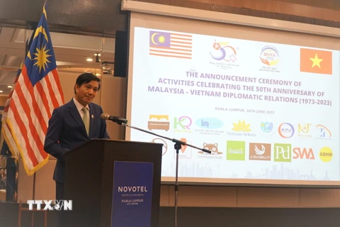Đại sứ Việt Nam tại Malaysia Đinh Ngọc Linh phát biểu tại sự kiện. (Ảnh: Hằng Linh/TTXVN)