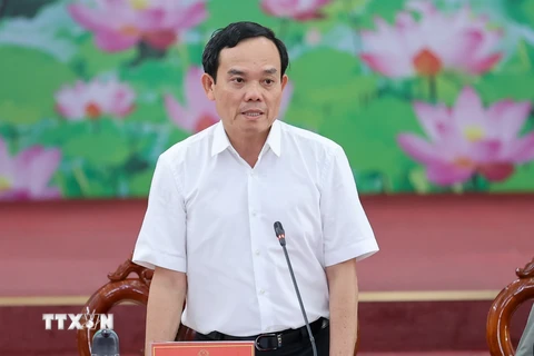 Phó Thủ tướng Trần Lưu Quang. (Ảnh: Dương Giang/TTXVN)