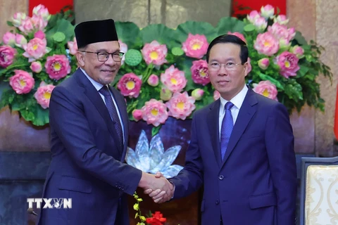 Chủ tịch nước Võ Văn Thưởng tiếp Thủ tướng Malaysia Anwar Ibrahim. (Ảnh: Thống Nhất/TTXVN)
