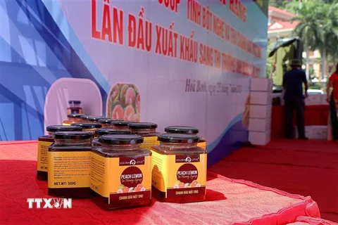 Sản phẩm OCOP trà chanh đào mật ong được xuất khẩu sang thị trường Anh. (Ảnh: Thanh Hải/TTXVN)