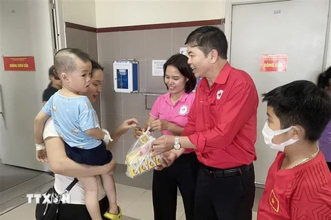 Đại diện Hội Chữ thập Đỏ tỉnh Lạng Sơn tặng cơm và sữa cho gia đình bệnh nhi nghèo, khuyết tật. (Ảnh: Anh Tuấn/TTXVN)