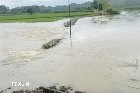 Mưa lớn gây ngập tuyến đường giao thông nội đồng ở Đắk Lắk. (Ảnh: TTXVN phát)