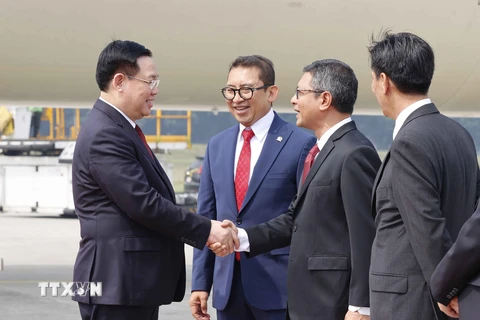 Các quan chức Indonesia đón Chủ tịch Quốc hội Vương Đình Huệ tại Sân bay Quốc tế Soekarno Hatta, thủ đô Jakarta. (Ảnh: Doãn Tấn/TTXVN)