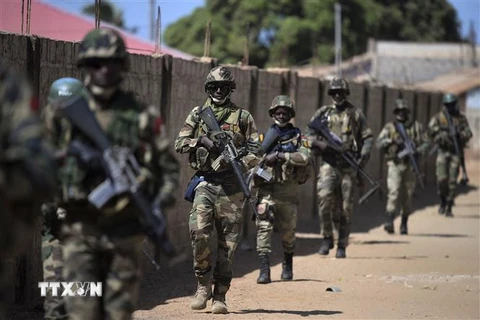 Binh sỹ ECOWAS. (Ảnh: AFP/TTXVN)