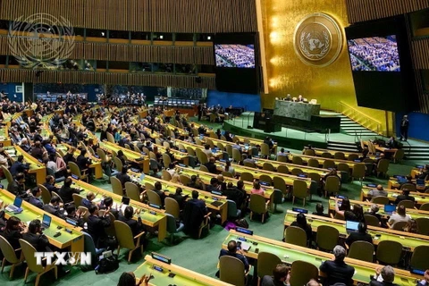 Quang cảnh một phiên họp của Đại Hội đồng Liên hợp quốc. (Ảnh: TTXVN phát)