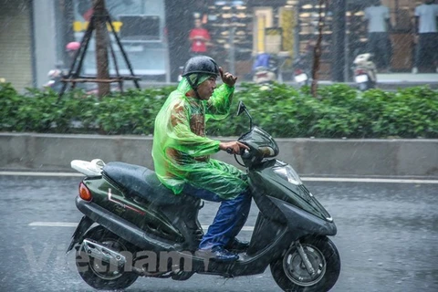 Ảnh minh họa. (Nguồn: Vietnam+)