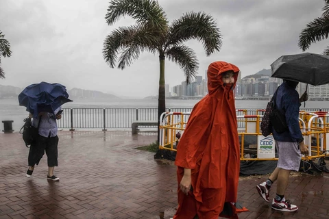 Hong Kong liên tục đưa ra cảnh báo về gió mạnh và các dải mưa dữ dội khi bão Koinu di chuyển về phía cửa sông Châu Giang. (Nguồn: AFP)