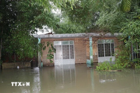 Nhà tại xóm Bầu, thôn Tân Hy 2, xã Bình Đông, huyện Bình Sơn bị ngập. (Ảnh: Đinh Hương/TTXVN)