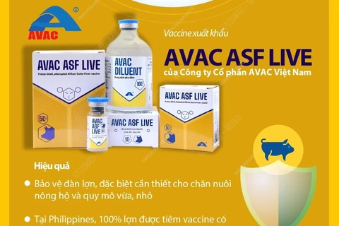 Việt Nam chính thức xuất khẩu vaccine phòng bệnh dịch tả lợn châu Phi.