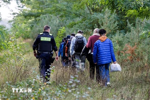 Cảnh sát Đức áp giải nhóm người di cư tại khu vực Forst ở biên giới với Ba Lan, ngày 11/10. (Ảnh: AFP/TTXVN)