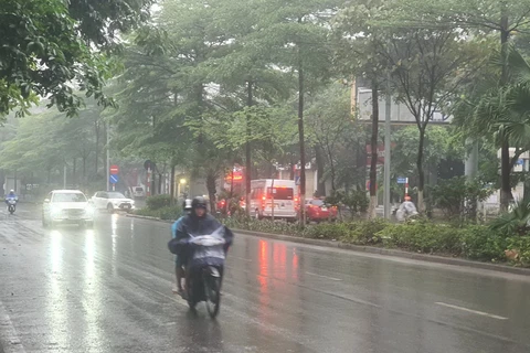 Khu vực từ Nam Nghệ An đến Khánh Hòa đã có mưa vừa, mưa to, cục bộ có mưa rất to. (Ảnh minh họa. Nguồn: Vietnam+)