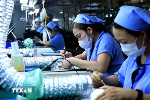 Hoạt động tại Công ty Trách nhiệm hữu hạn Sankoh Việt Nam - doanh nghiệp 100% vốn đầu tư Nhật Bản tại Khu Công nghiệp Bờ Trái Sông Đà, tỉnh Hòa Bình. (Nguồn: TTXVN)