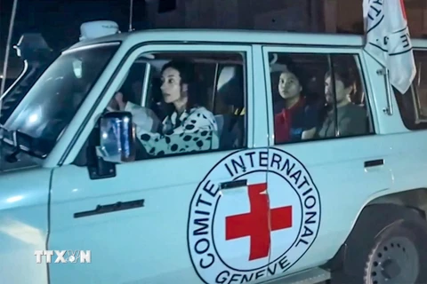 Xe của Ủy ban Chữ thập Đỏ Quốc tế (ICRC) tiếp nhận các con tin được Phong trào Hồi giáo Hamas trả tự do sau thỏa thuận ngừng bắn tại Gaza, ngày 24/11. (Ảnh: AFP/TTXVN)