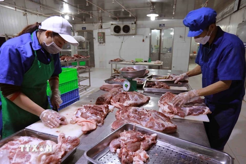 Chuẩn bị nguyên liệu thịt lợn để chế biến tại cơ sở sản xuất của Hợp tác xã Hoàng Long ở thôn Tri Lễ, xã Tân Ước, huyện Thanh Oai, Hà Nội. (Ảnh: Vũ Sinh/TTXVN)