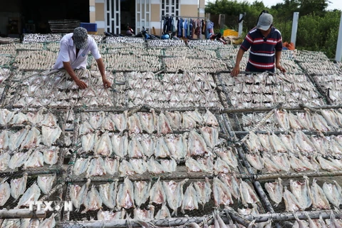 Làng nghề cá khô Vàm Láng cung cấp cho thị trường 1.500 tấn khô cá các loại. (Ảnh: Hữu Chí/TTXVN)