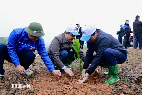 Hưởng ứng Tết trồng cây tại huyện Văn Chấn, tỉnh Yên Bái. (Ảnh: Tuấn Anh/TTXVN)