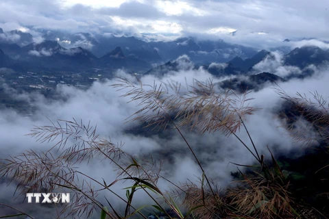 Đứng trên đỉnh Lao Tỷ Phùng, du khách được chiêm ngưỡng vẻ đẹp hùng vĩ của núi rừng Tây Bắc. (Ảnh: Quý Trung/TTXVN)