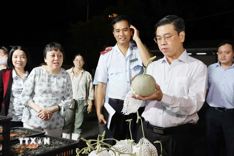 Ông Nguyễn Văn Dũng, Phó Chủ tịch Ủy ban Nhân dân Thành phố Hồ Chí Minh kiểm tra tại chợ đầu mối Bình Điền. (Ảnh: Đinh Hằng/TTXVN)