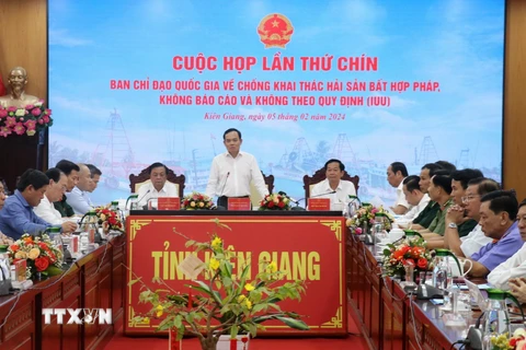 Phó Thủ tướng Chính phủ Trần Lưu Quang phát biểu chỉ đạo hội nghị. (Ảnh: Lê Huy Hải/TTXVN)