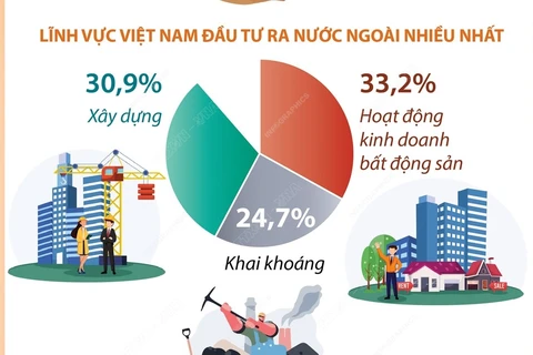 Tổng vốn đầu tư của Việt Nam ra nước ngoài đạt gần 16,2 triệu USD trong tháng 1.