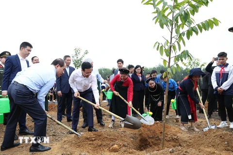 Chủ tịch nước Võ Văn Thưởng và các đại biểu tham gia trồng cây tại Lễ phát động Tết trồng cây 'Đời đời nhớ ơn Bác Hồ' Xuân Giáp Thìn 2024. (Ảnh: Thống Nhất/TTXVN)