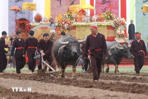 Lễ hội Tịch điền Đọi Sơn tái hiện truyền thống 'dĩ nông vi bản' (Lấy nghề nông làm gốc). (Ảnh: Minh Quyết/TTXVN)