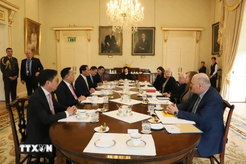 Bộ trưởng Ngoại giao Bùi Thanh Sơn hội kiến Tổng thống Ireland Michael D. Higgins. (Ảnh: Phong Hà/TTXVN)
