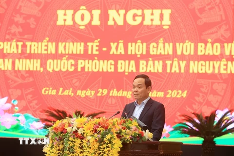 Phó Thủ tướng Chính phủ Trần Lưu Quang phát biểu khai mạc hội nghị. (Ảnh: Quang Thái/TTXVN)