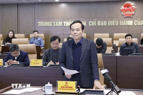 Phó Thủ tướng Chính phủ Trần Lưu Quang phát biểu. (Ảnh: Doãn Tấn/TTXVN)