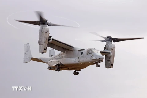Máy bay quân sự Osprey của Mỹ. (Nguồn: AFP/TTXVN)