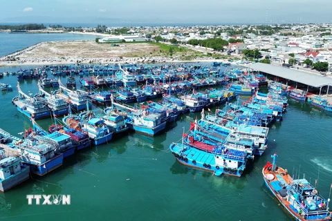 Đội tàu cá khai thác xa bờ cập cảng cá Mỹ Tân ở xã Thanh Hải, Ninh Hải, Ninh Thuận. (Ảnh: Nguyễn Thành/TTXVN)