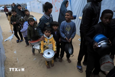 Trẻ em Palestine chờ được phát thực phẩm cứu trợ tại thành phố Rafah, Dải Gaza. (Ảnh: THX/TTXVN)