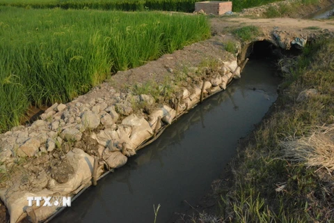 Tuyến kênh N2-10 tại xã Buôn Triết, huyện Lắk không được thi công bằng tấm lát bêtông nhưng bị nghiệm thu khống để thanh toán. (Ảnh: Tuấn Anh/TTXVN)