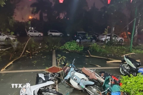 Nhiều xe máy tại Khu Đô thị Đặng Xá, Gia Lâm (Hà Nội) bị đổ và thiệt hại do mưa lớn và gió giật mạnh tối 20/4. (Ảnh TTXVN phát)