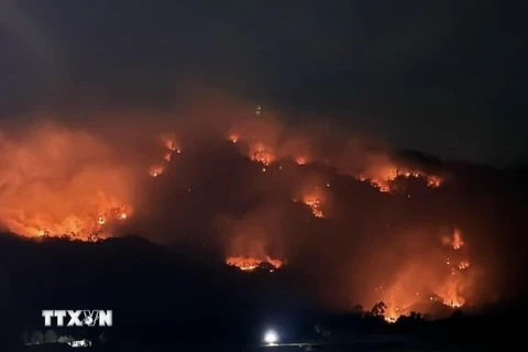 Rừng trên địa bàn xã Núi Tô, huyện Tri Tôn, tỉnh An Giang cháy lớn trong đêm 26/4. (Ảnh: TTXVN phát)