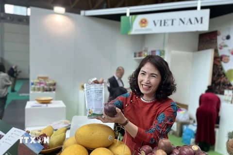 Giới thiệu nông sản Việt Nam tại Hội chợ. (Ảnh: Dương Hoa/TTXVN)