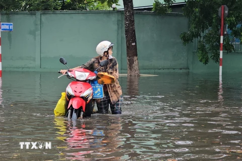 Nước ngập sâu trên các tuyến đường trong Khu Công nghiệp Giao Long, tỉnh Bến Tre. (Ảnh: Huỳnh Phúc Hậu/TTXVN)