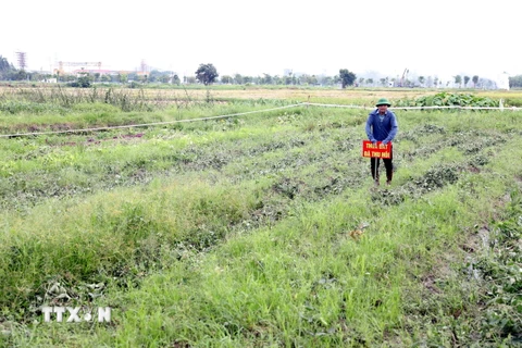 Thực hiện thu hồi đất để triển khai xây dựng điểm dân cư mới. (Ảnh: Mạnh Tú/TTXVN)