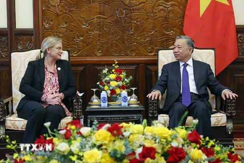 Chủ tịch nước Tô Lâm tiếp Đại sứ Thụy Điển Ann Mawe đến chào từ biệt. (Ảnh: Nhan Sáng/TTXVN)