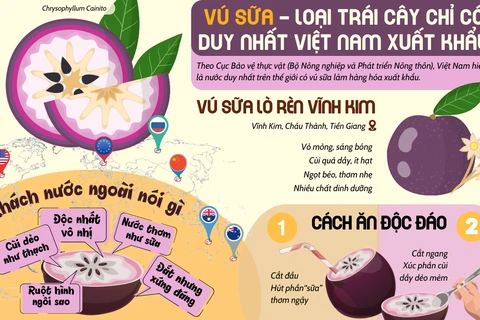 Việt Nam là nước duy nhất trên thế giới xuất khẩu vú sữa