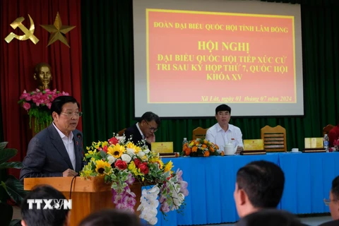 Trưởng Ban Nội chính Trung ương Phan Đình Trạc phát biểu tại hội nghị tiếp xúc cử tri. (Ảnh: Nguyễn Dũng/TTXVN)