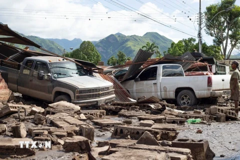 Các phương tiện bị phá hủy khi bão Beryl quét qua. (Nguồn: AFP/TTXVN)