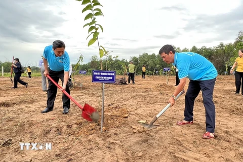 Lãnh đạo tỉnh và các tổ chức, cá nhân ra quân trồng 'Vườn cây đại đoàn kết' tại phường Tương Bình Hiệp, thành phố Thủ Dầu Một, tỉnh Bình Dương. (Ảnh: Dương Chí Tưởng/TTXVN)