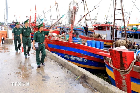 Cán bộ, chiến sỹ Đồn Biên phòng Cửa khẩu cảng Diêm Điền (Bộ đội Biên phòng tỉnh Thái Bình) tuần tra, kiểm soát tại cảng cá Tân Sơn, huyện Thái Thụy, tỉnh Thái Bình. (Ảnh: Thế Duyệt/TTXVN)