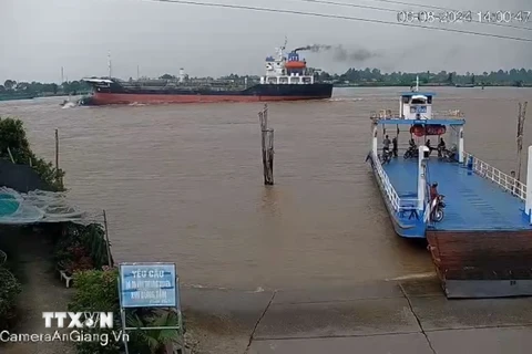 Khoảnh khắc tàu chở hàng va chạm với phà chở khách trên sông Vàm Nao được camera người dân quay lại. (Ảnh: TTXVN phát)