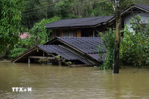 Cảnh ngập lụt sau những trận mưa lớn tại Narathiwat, Thái Lan. (Ảnh: Getty Images/TTXVN)